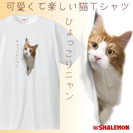楽天市場 おもしろ 猫用品 ペット ペットグッズ の通販