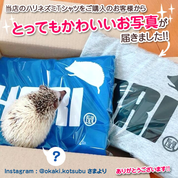 楽天市場 ハリネズミ グッズ おもしろ アニマル Tシャツ ハリネズミ ジャンプ 選べる2柄 8色 クリスマス メンズ レディース キッズ 誕生日 プレゼント 雑貨 ケージ ぬいぐるみ 寝袋 ハウス 文房具 床材 かわいい 赤ちゃん しゃれもん シャレもん楽天市場店
