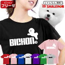 おもしろ tシャツ ( ビションフリーゼ ジャンプ 選べる8カラー ) 犬小屋 ハーネス 服 おもしろ プレゼント 雑貨 グッズ 面白い シャレもん しゃれもん