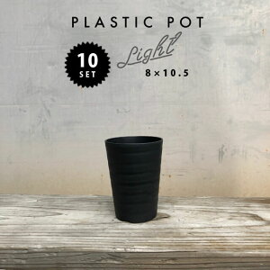 y10SETzZA[g  8×10.5cm 3LONG v ubN|bg Plastic Pot   Vv  y  vX`bN Aؔ C_XgA C R[fbNX caudex Ci[