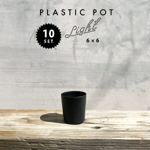 【10個SET】セラアート 長鉢 2.5号 6.3cm×6.5cm プラ鉢 まとめ買い 黒 ブラックポット Plastic Pot 塊根 多肉 シンプル おしゃれ 軽い 薄い プラスチック 植木鉢 インダストリアル 西海岸 コーデック