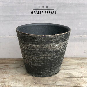 KAMIYAMA -MIYABI- POTybrushz10cm×8.5cm ݎR V[Y і Aؔ My