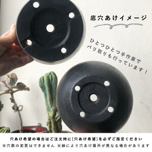 楽天市場 Black Plastic Pot Standard Type 10cm 8cm 黒 プラ鉢 3号 4号 植木鉢 ブラックポット Shallow