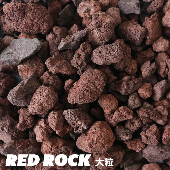 楽天市場】レッドロック 大粒1L 化粧石 赤系溶岩石 スコリア 洗浄済 赤 