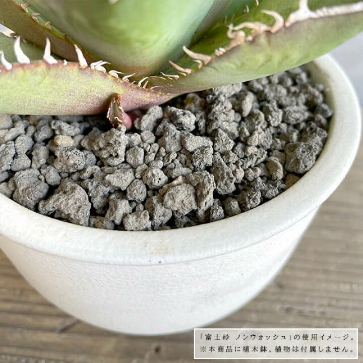 楽天市場 富士砂 ノンウォッシュ 1l 化粧砂 黒 細目 中目 マルチング おしゃれ サボテン 盆栽 アクアリウム テラリウム モダン 多孔質 ガーデニング 1000ml お試し 通気性 排水性 多肉 ブラックポット 根腐れ防止 溶岩石 スコリア 底砂 グレー 化粧石 ツヤなし ミックス