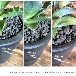 楽天市場 富士砂 極小粒 Ss 0 5l 化粧砂 黒 細目 中目 マルチング おしゃれ サボテン 盆栽 アクアリウム テラリウム モダン 多孔質 ガーデニング 少量 500ml お試し 通気性 排水性 多肉 ブラックポット 根腐れ防止 溶岩石 スコリア 底砂 グレー 化粧石 ツヤなし Shallow