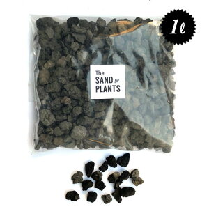 xm 嗱(L) 1L 1cm-3cm e }`O  T{e ~ ANAE eE _ E K[fjO I ʋC r  ubN|bg h~ ϐ n X