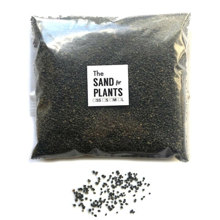 楽天市場 富士砂 超小粒 Nano 0 5l 化粧砂 黒 細目 マルチング おしゃれ サボテン 盆栽 アクアリウム テラリウム モダン 多孔質 ガーデニング 少量 500ml お試し 通気性 排水性 多肉 ブラックポット 根腐れ防止 溶岩石 スコリア 底砂 グレー 化粧石 ツヤなし Shallow