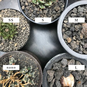 楽天市場 富士砂 超小粒 Nano 0 5l 化粧砂 黒 送料無料 細目 マルチング おしゃれ サボテン 盆栽 アクアリウム テラリウム モダン 多孔質 ガーデニング 少量 500ml お試し 通気性 排水性 多肉 ブラックポット 根腐れ防止 溶岩石 スコリア 底砂 グレー 化粧石 ツヤなし