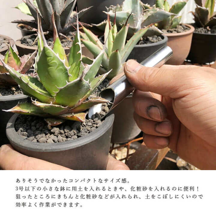 楽天市場 兼進 ミニ土入れ 3点セット 鉄製 スチール 小さい コンパクト ミニ盆栽 植え替え 丈夫 硬い 盆栽 Kaneshin 小品用土入れ 化粧砂 小品盆栽 ネオ盆栽 ミニスコップ Shallow