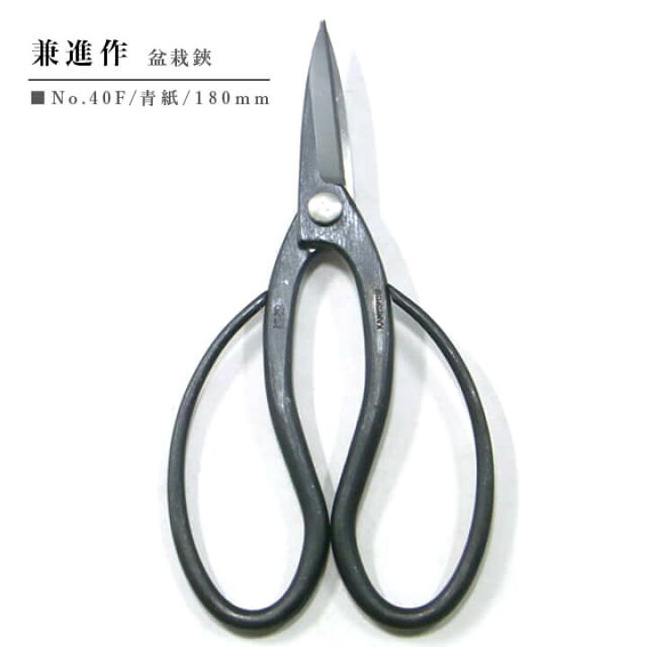 楽天市場 兼進作 盆栽鋏 小 青紙 No 40f 小枝切 芽摘み 根切り 青鋼 高級鋼 安来鋼 関 コーデックス 180mm 18cm おしゃれ 黒 園芸 はさみ 植物 Shallow