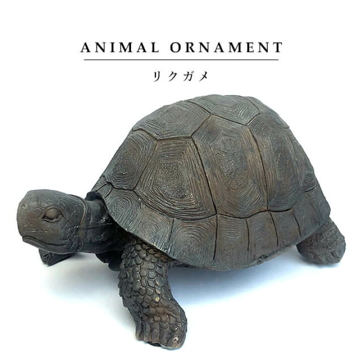 楽天市場 オブジェ オーナメント リクガメ 亀 カメ 動物 ガーデニング 置物 シンプル アニマル ビンテージ アンティーク 樹脂 グレー 飾り Shallow 楽天市場 オブジェ オーナメント リクガメ 亀 カメ 動物 ガーデニング 置物 シンプル アニマル ビンテージ アンティーク 樹脂 グレー 飾り Shallow