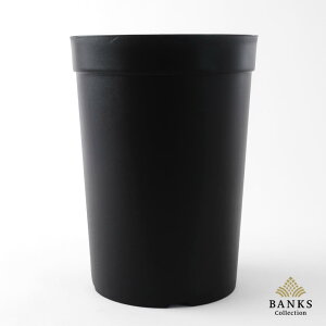 BANKS Collection O|bgyLTCYz18×H24.5cm 6 Aؔ  [  ubN v vX`bN  RXp oNX RNV   bJ AKx fBI[