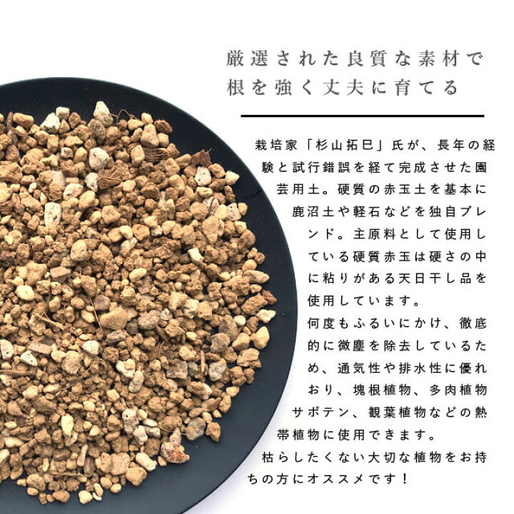 楽天市場 Best Soil Mix 挿し木 播種用 1l ベストソイルミックス バンクスコレクション 1リットル 培養土 硬質赤玉 多肉 観葉植物 塊根 サボテン プレミアム用土 杉山拓巳 植え替え お試し 少量 小粒 B C Shallow