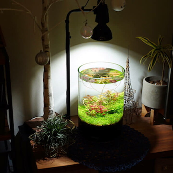 楽天市場 アマテラス Led 10w 植物育成ライト Barrel 水槽用照明 アクアリウム 着生植物 水草 水上化 多肉 塊根 室内管理 太陽光 日照 ビカクシダ ハンギング 壁掛け植物 インテリアグリーン 熱帯魚 おしゃれ Shallow