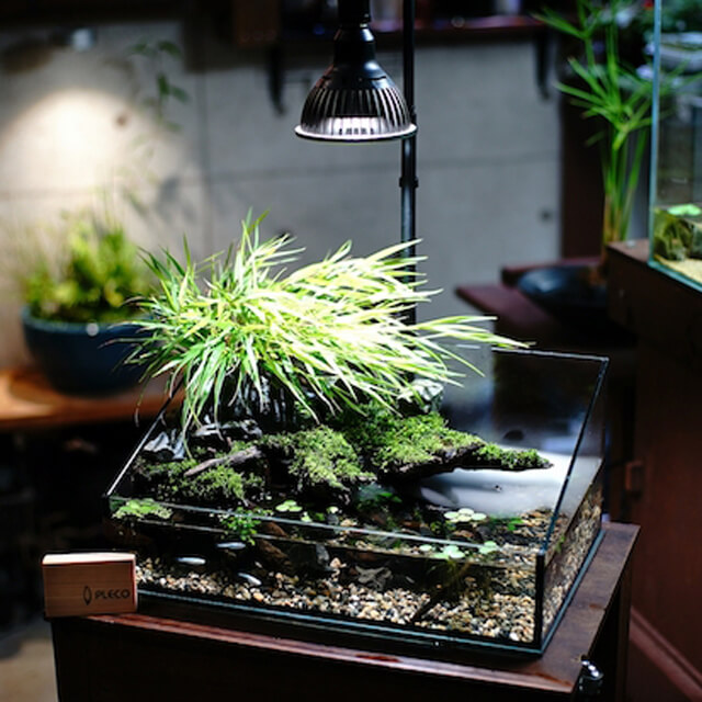 楽天市場】アマテラス 【LED 10W】 植物育成ライト BARREL 水槽用照明