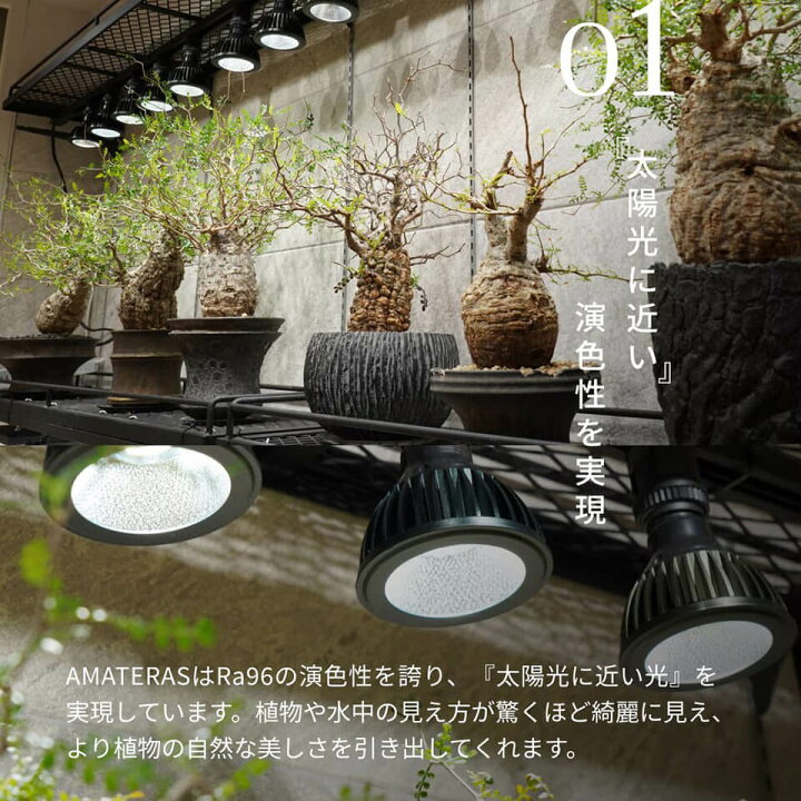 楽天市場】アマテラス 【LED 10W】 植物育成ライト BARREL 水槽用照明 