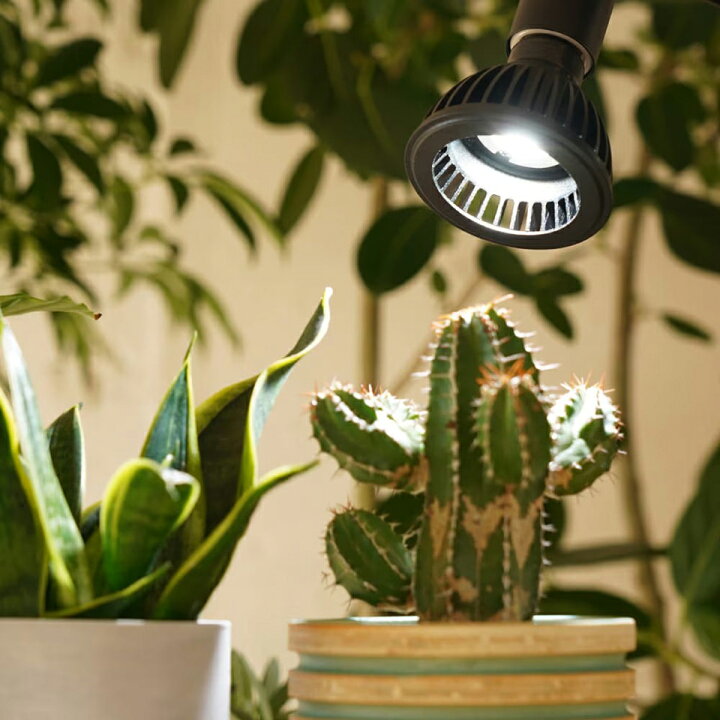 楽天市場】アマテラス 【LED 10W】 植物育成ライト BARREL 水槽用照明 