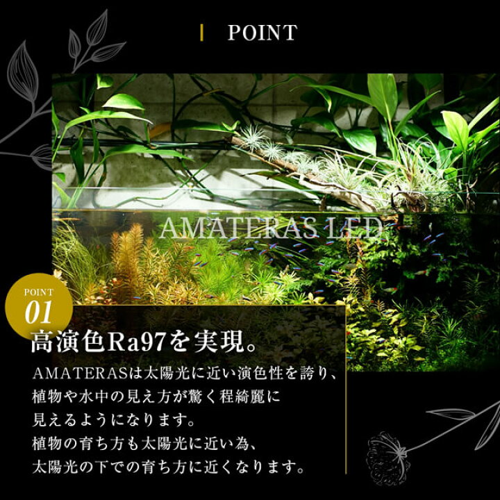 植物ライト 3 アマテラス 古典 植物ライト 3 アマテラス 古典