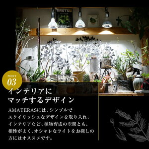 楽天市場 アマテラス Led w 植物育成ライト Barrel 水槽用照明 アクアリウム 着生植物 水草 水上化 多肉 塊根 室内管理 太陽光 日照 ビカクシダ ハンギング 壁掛け植物 インテリアグリーン 熱帯魚 おしゃれ Shallow