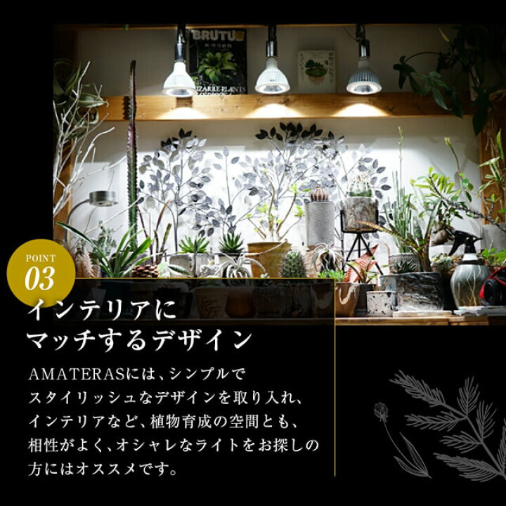 楽天市場 アマテラス Led w 植物育成ライト Barrel 水槽用照明 アクアリウム 着生植物 水草 水上化 多肉 塊根 室内管理 太陽光 日照 ビカクシダ ハンギング 壁掛け植物 インテリアグリーン 熱帯魚 おしゃれ Shallow