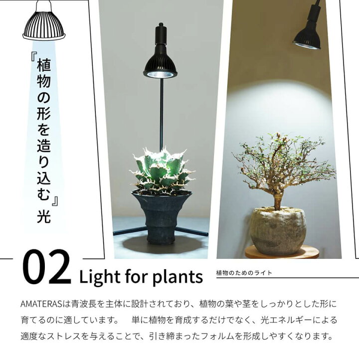 楽天市場】ネオ アマテラス【LED 20W】植物育成ライト BARREL 水槽用 