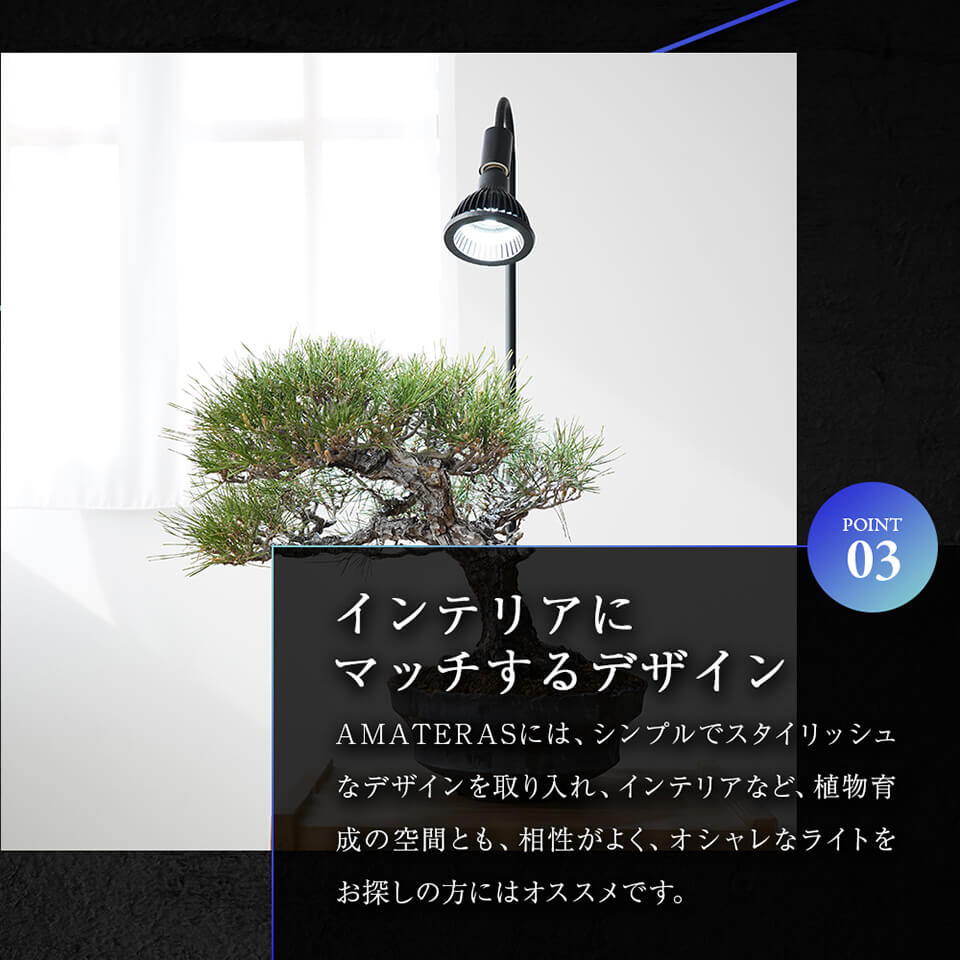 楽天市場】ネオ アマテラス【LED 20W】植物育成ライト BARREL 水槽用 
