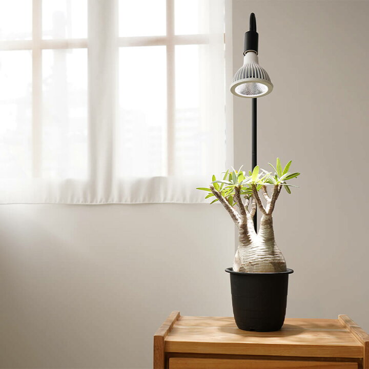 楽天市場】ネオ ツクヨミ【LED 20W】植物育成ライト BARREL 水槽用照明  