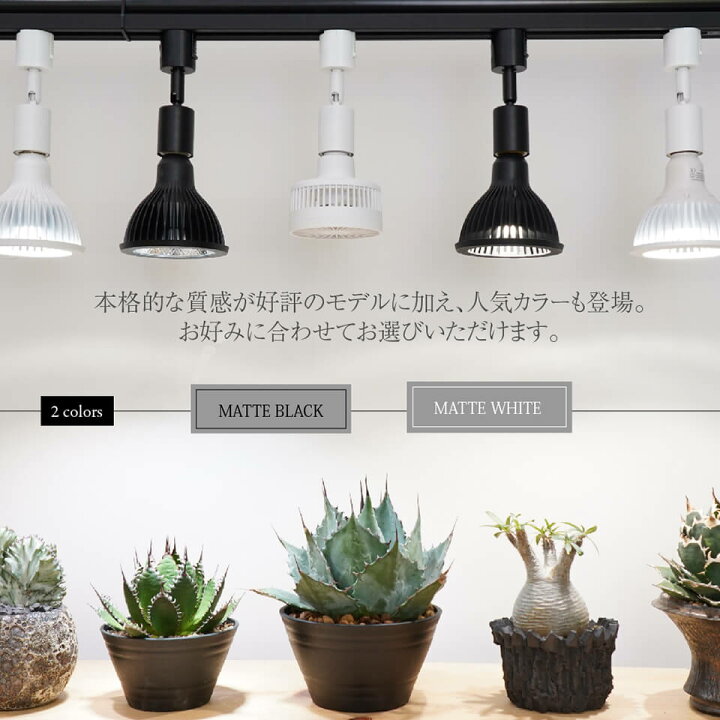 楽天市場】ライトソケット【選べる2カラー】LIGHT SOCKET BARREL 