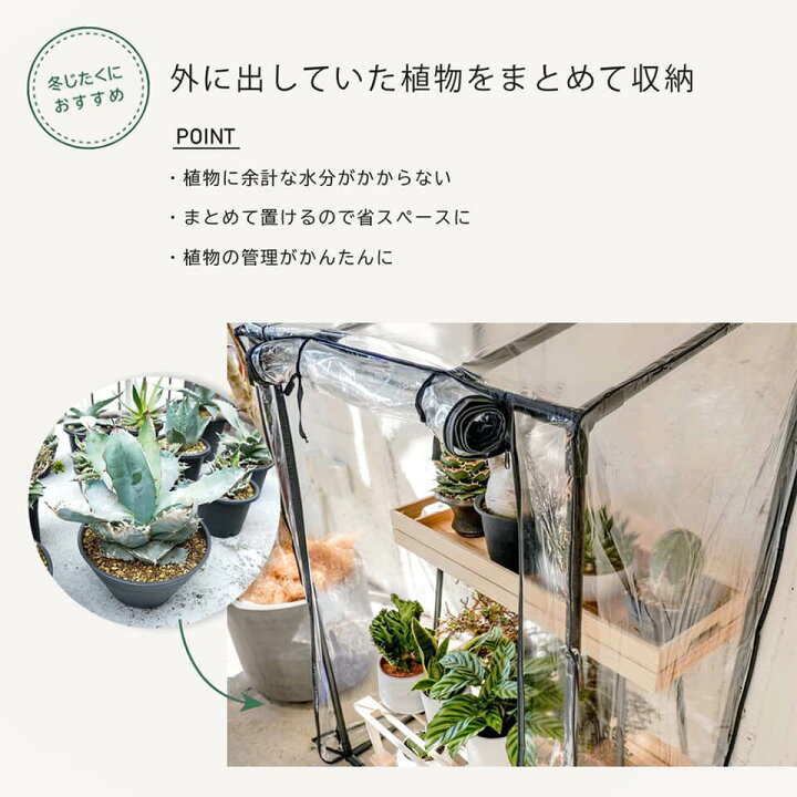 楽天市場】ビニール温室 GREEN THUMBERS OF BARREL 幅77×奥行52×高さ 