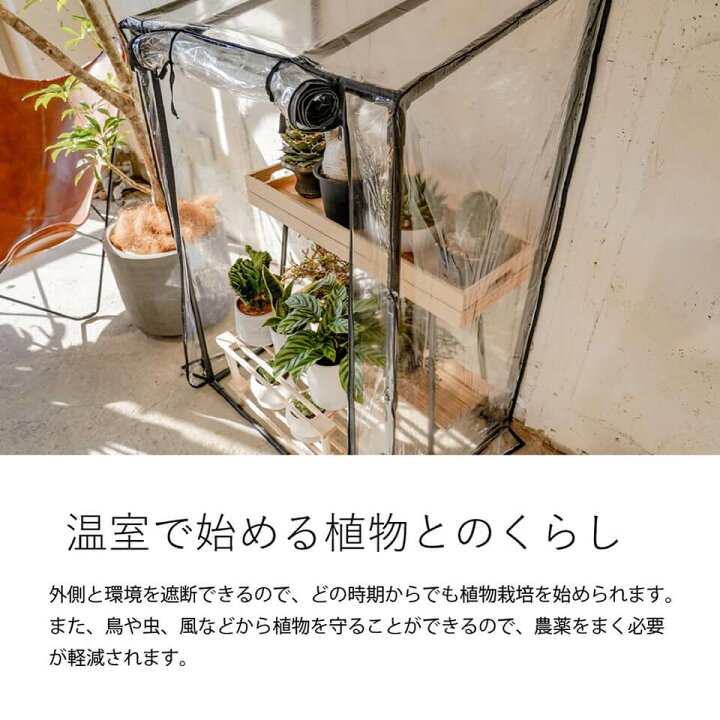 楽天市場】ビニール温室 GREEN THUMBERS OF BARREL 幅77×奥行52×高さ 