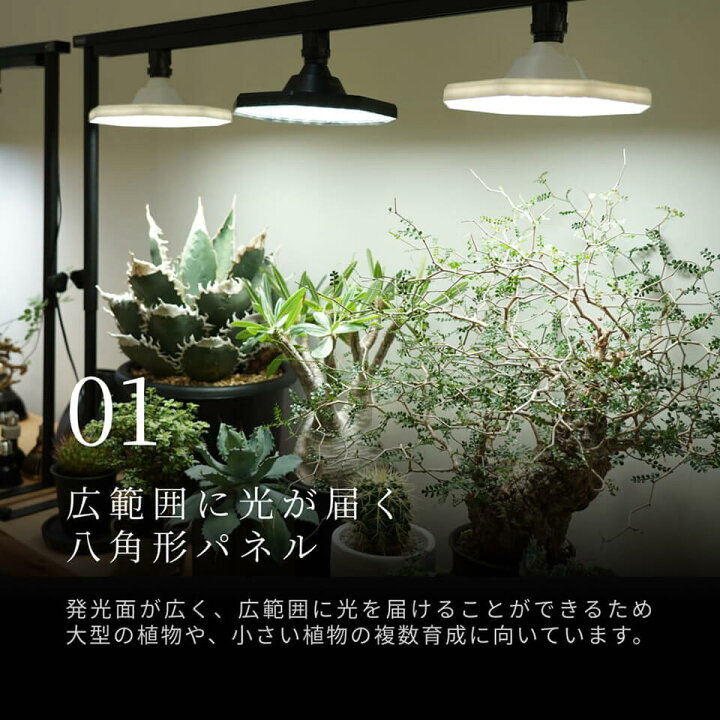 楽天市場】ROKI OCTAGON 50W【BARREL】八角形・面発光タイプの植物育成 