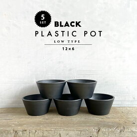 【5個SET】BLACK PLASTIC POT【LOW TYPE】12cm×6cm 4号 黒 プラ鉢 平鉢 植木鉢 ブラックポット
