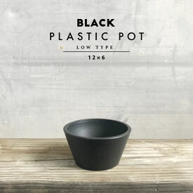 BLACK PLASTIC POT【LOW TYPE】12cm×6cm 4号 黒 プラ鉢 平鉢 植木鉢 ブラックポット