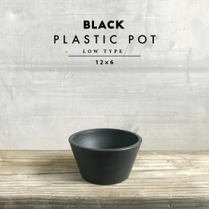 BLACK PLASTIC POTyLOW TYPEz12cm×6cm 4  v  Aؔ ubN|bg