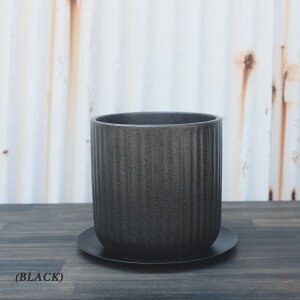 Z STRIPE-POT 4 12cm  Aؔ ACA\[T[t 󂯎Mt Vv c 픫 zCg  }X^[h  O[  O[ ubN uY   Vv 