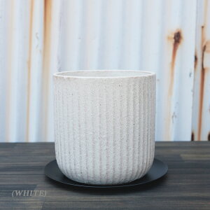 Z STRIPE-POT 4 12cm  Aؔ ACA\[T[t 󂯎Mt Vv c 픫 zCg  }X^[h  O[  O[ ubN uY   Vv 