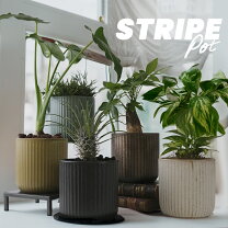 楽天市場】ストライプ（植木鉢・プランター｜ガーデニング・農業）：花 