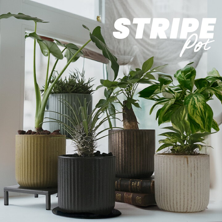楽天市場】美濃焼 STRIPE-POT 4号 12cm 陶器 植木鉢 アイアンソーサー 