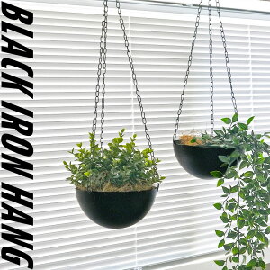 BLACK IRON HANG^v^[Jo[ Jo[ ݂艺 A ݂邷  Aؔ 20cm 6 S  o^ A R[fbNX sA؂؃~ Vv   cȂ }bg y
