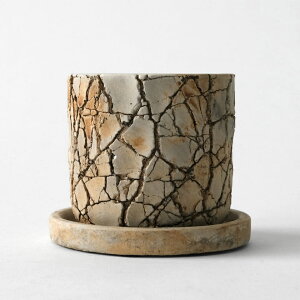 bV|bg 10cm×H9cm  Aؔ 3 󂯎Mt eNX` qr͗l AeB[N re[W   I ACh AG AKx T{e   bJ  x[W