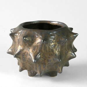 X^[|bgyuYzS^M ʋC̗ǂrt Aؔ  󂯎Mt 2.5 3 4  gQ To[Xg uY BRONZE F S[h uE F I   