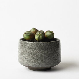 美濃焼 MATCHA-POT【 Crack 】グレーφ12×H8cm植木鉢 受皿付 4号 シンプル 陶器 おしゃれ インテリア 室内 個性的 筒型 シリンダー 塊根 コーデックス サボテン 観葉植物 多肉 アガベ モダン 盆栽 和風 苔 松柏 雑木 実もの 山野草 無骨 クラック 手作り 浅鉢