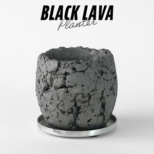 BLACK LAVA PLANTERy L z 10cm×H10cm  Aؔ Mt ֖ n Ԃ  쐶A    ʋC { ۉ     O[  bNK[f hCK[