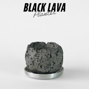BLACK LAVA PLANTERy S z 8.5cm×H7cm  Aؔ Mt ֖ n Ԃ  쐶A    ʋC { ۉ     O[  bNK[f hCK[