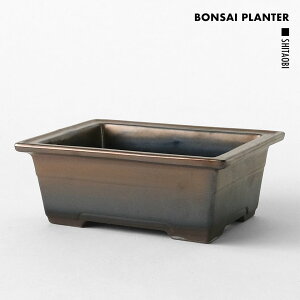 BOSAI PLANTERy SHITAOBI zuY W18.5cm×H7cm  Aؔ ED p O  ؑ ` ~͔ R쑐 񂹐A    S[h  I   ACh AG 