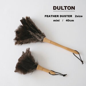 FEATHER DUSTERytFU[_X^[z zR ͂ | | ou[ ÓdC y ȒP sv U[Xgbv  ϗtA fXN {I GAR J[e[ u