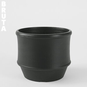 u[^|bgyCHUBUKAz12.5cm×H10cm Aؔ 4 A~  [   Vv  d T{e AKx  AG 艏 ؗ nr^bg R[fbNX ~ [ 