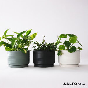 AALTOy short z15cm×10cm Aؔ Mt 5 Vv  k ^ V_[  {[_[ }bg    ~j}  Vv Ⴂ CeA g` tronco AAg  Jo[ 