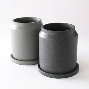 CIMENTy tall z15.5×H17cm Aؔ Mt 5 Vv  ~j}  CeA O[ ^ RN[g Zg tronco  ^ C_XgA V[v M }bg b